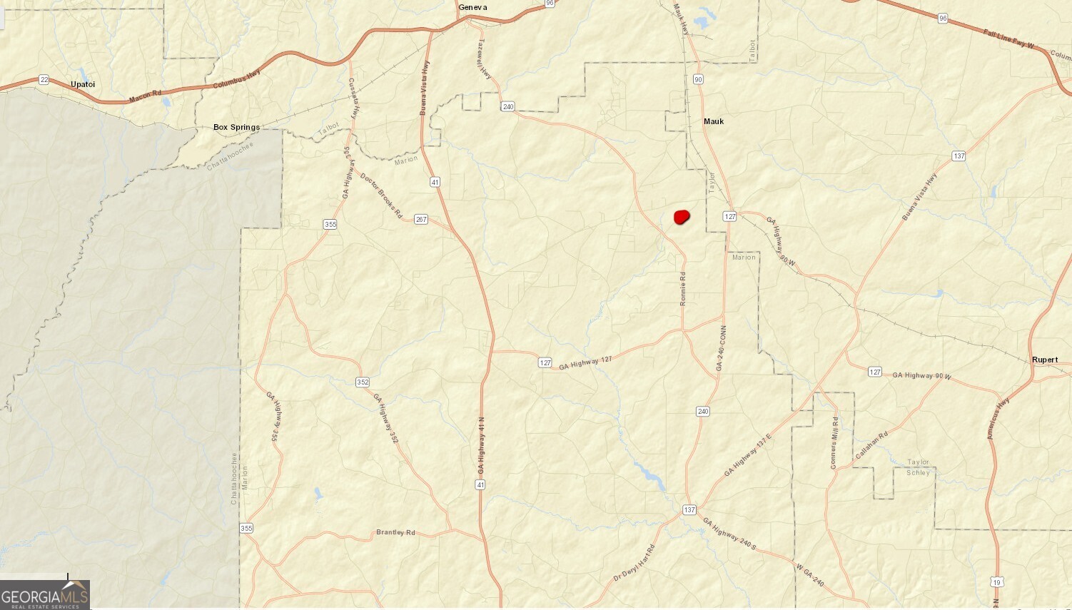 375 Village Lane Mauk GA 31058
