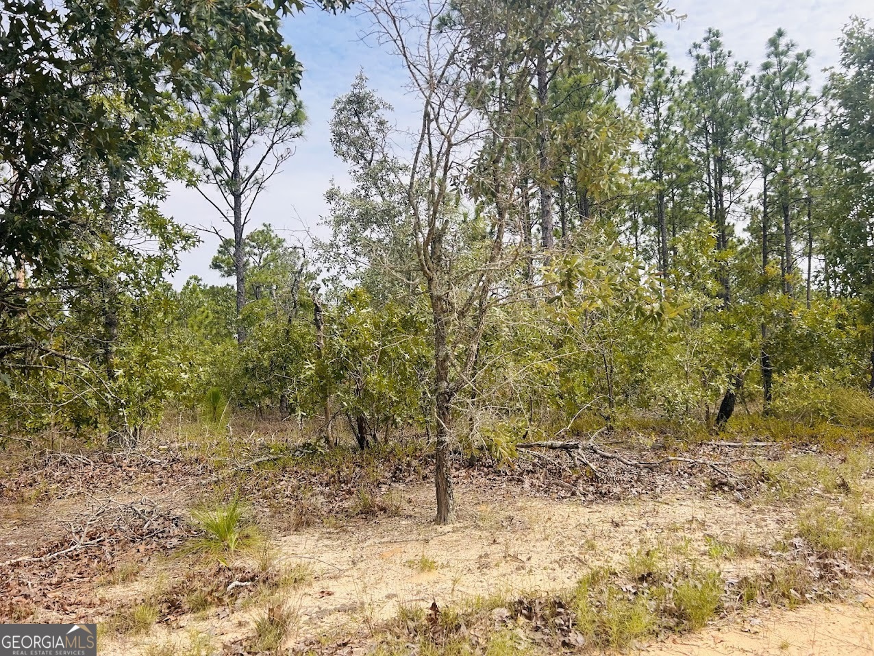 375 Village Lane Mauk GA 31058