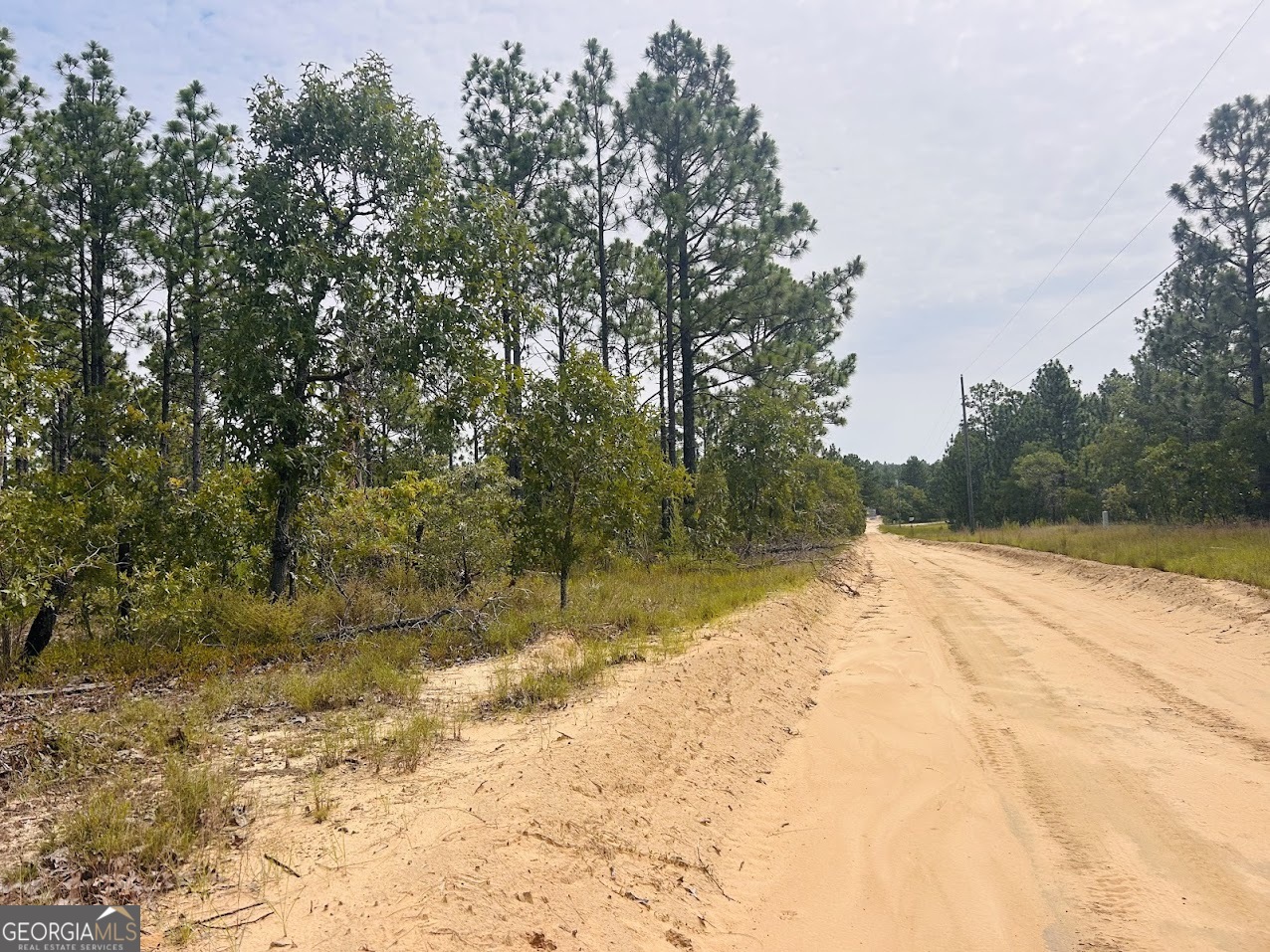 375 Village Lane Mauk GA 31058