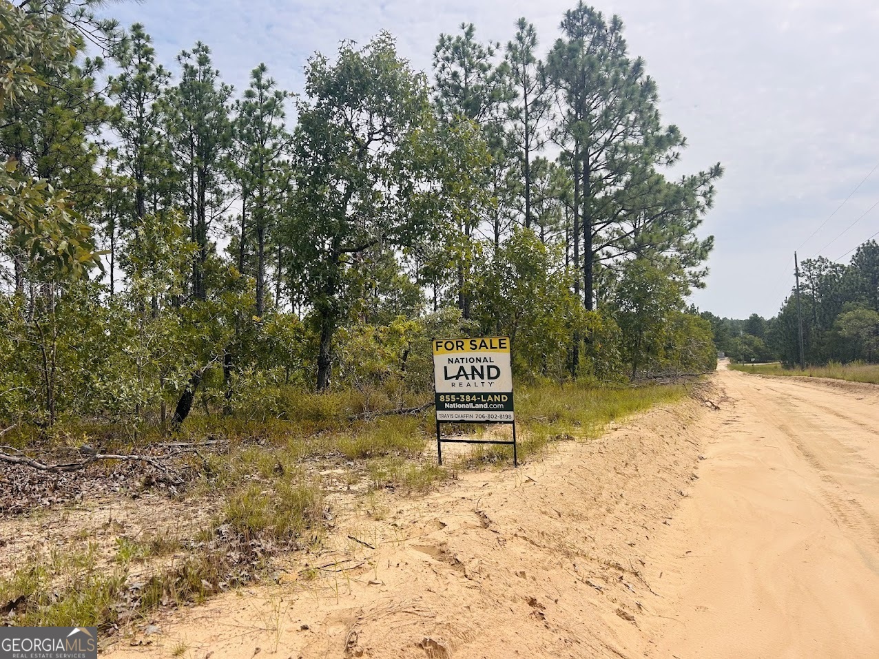 375 Village Lane Mauk GA 31058