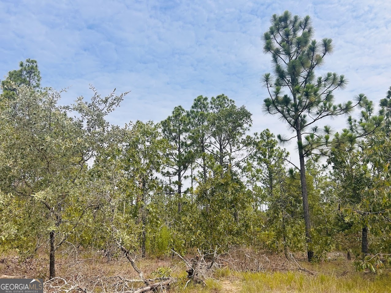 375 Village Lane Mauk GA 31058