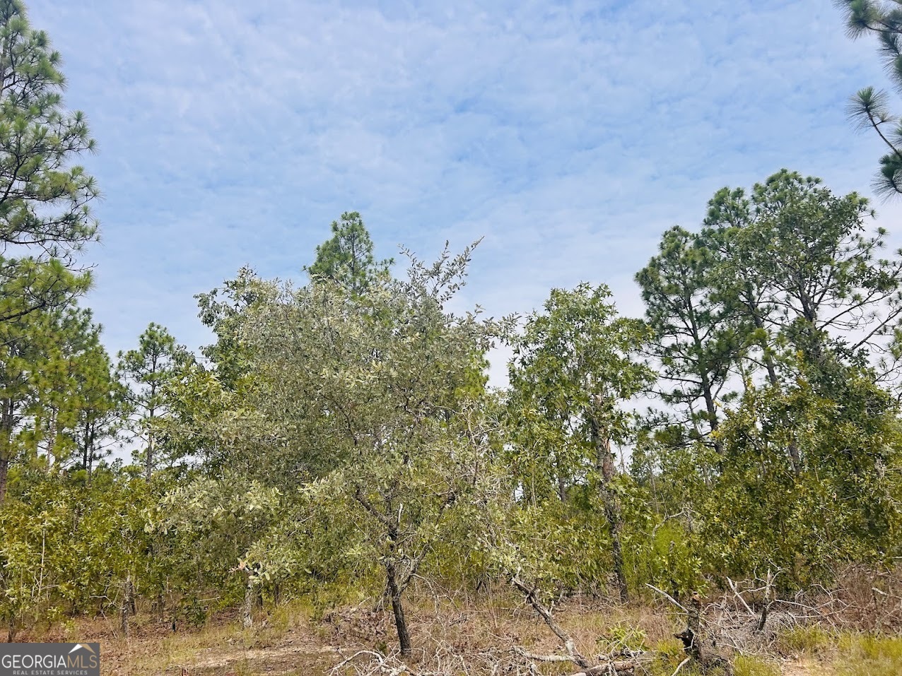 375 Village Lane Mauk GA 31058