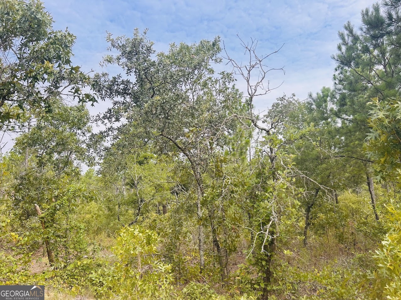 375 Village Lane Mauk GA 31058