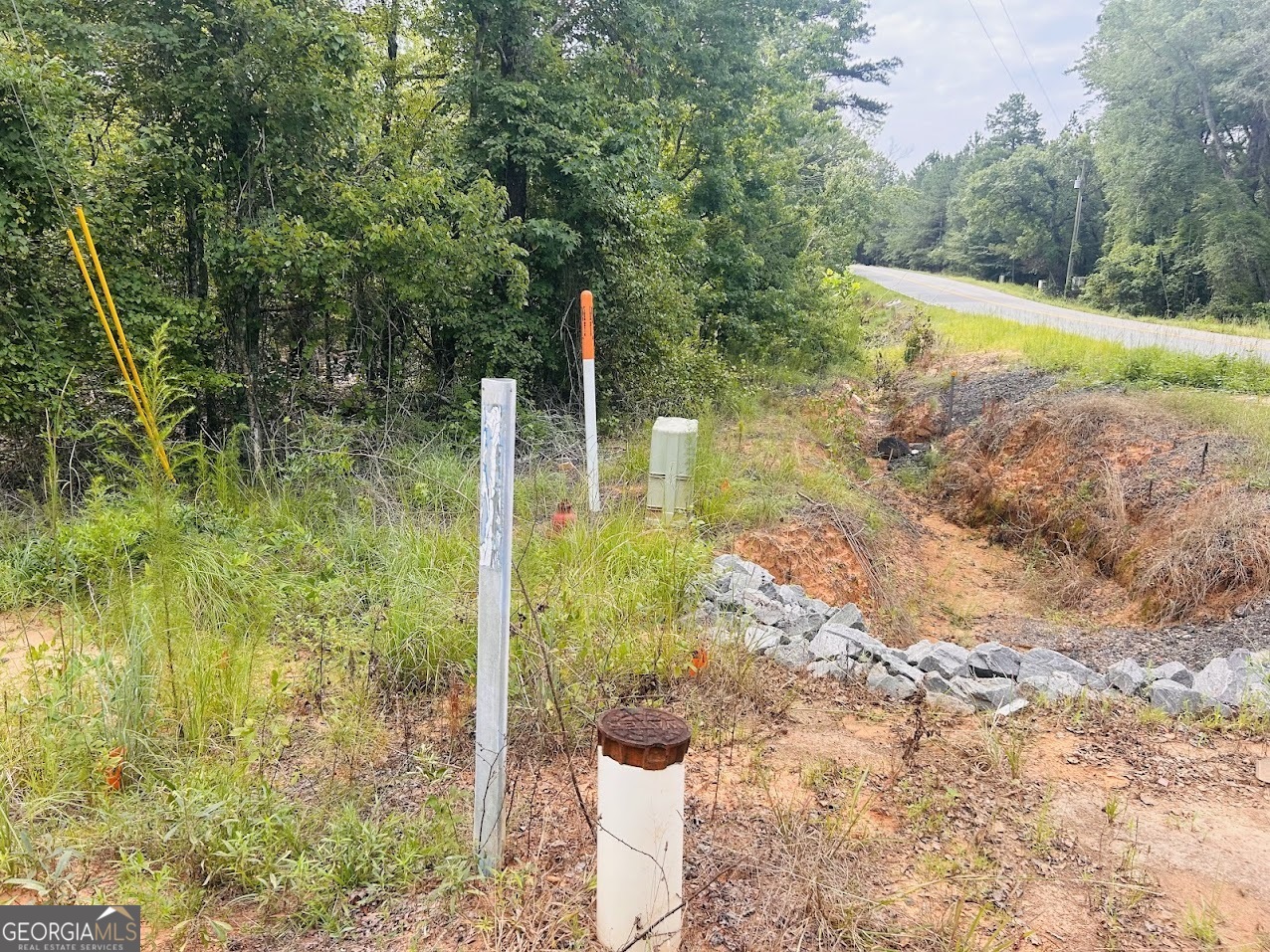 375 Village Lane Mauk GA 31058