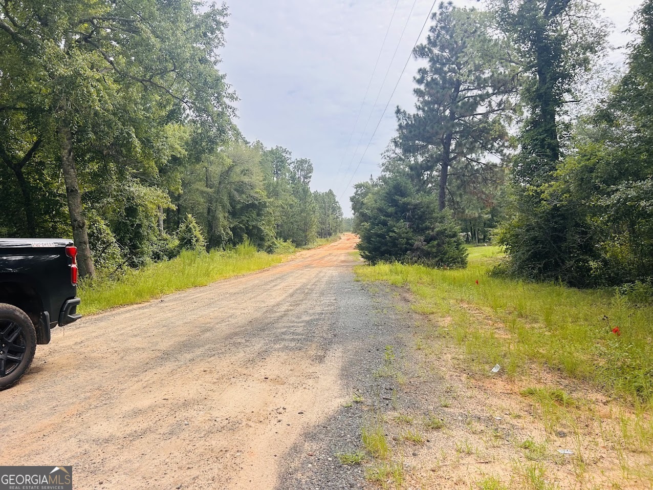 375 Village Lane Mauk GA 31058