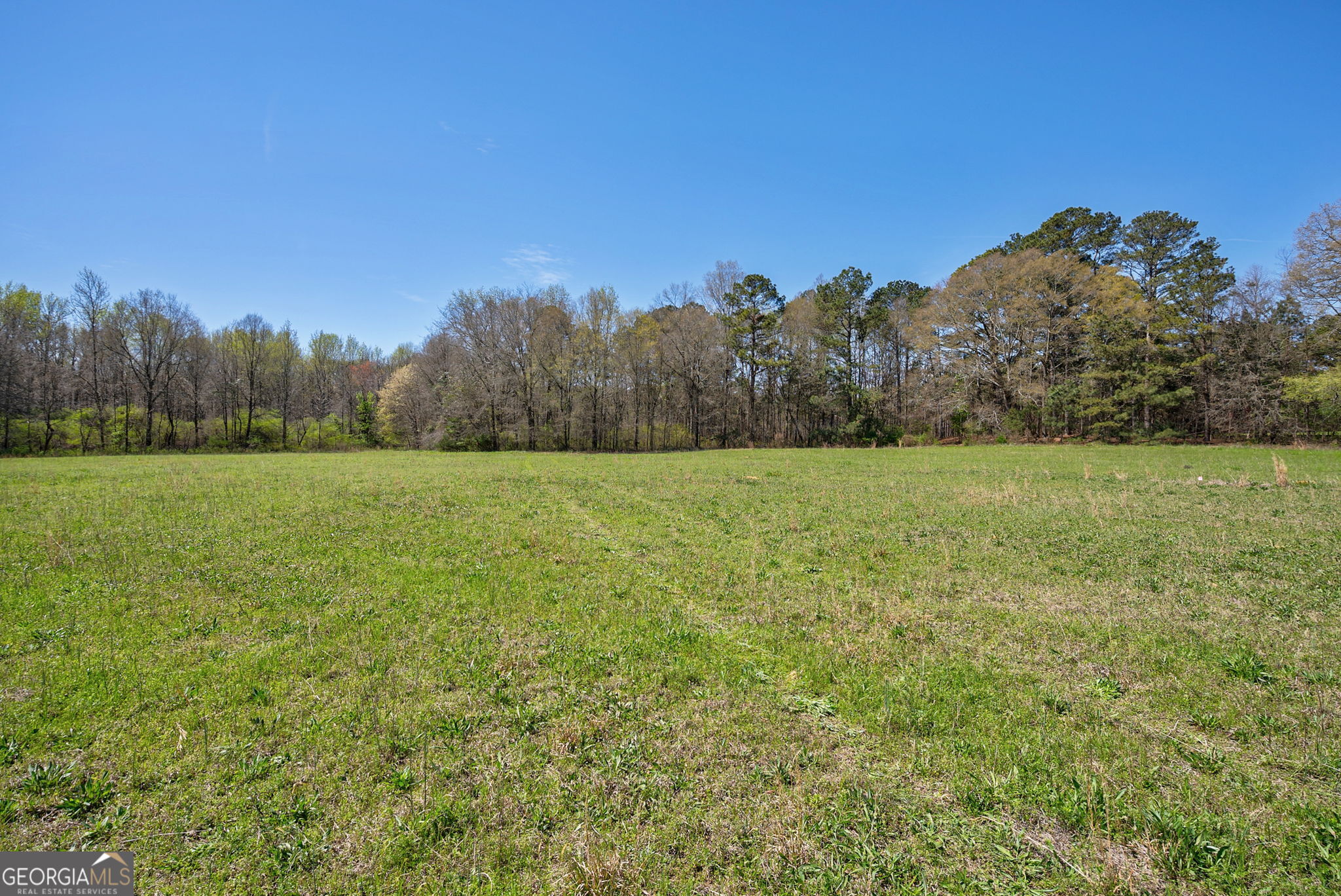 1 Poplar Street Monroe GA 30655
