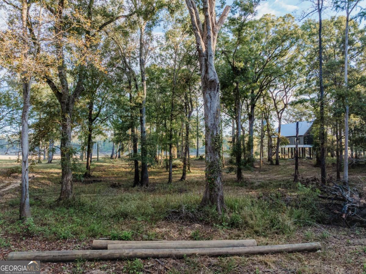 0 Eagles Point Surrency GA 31563