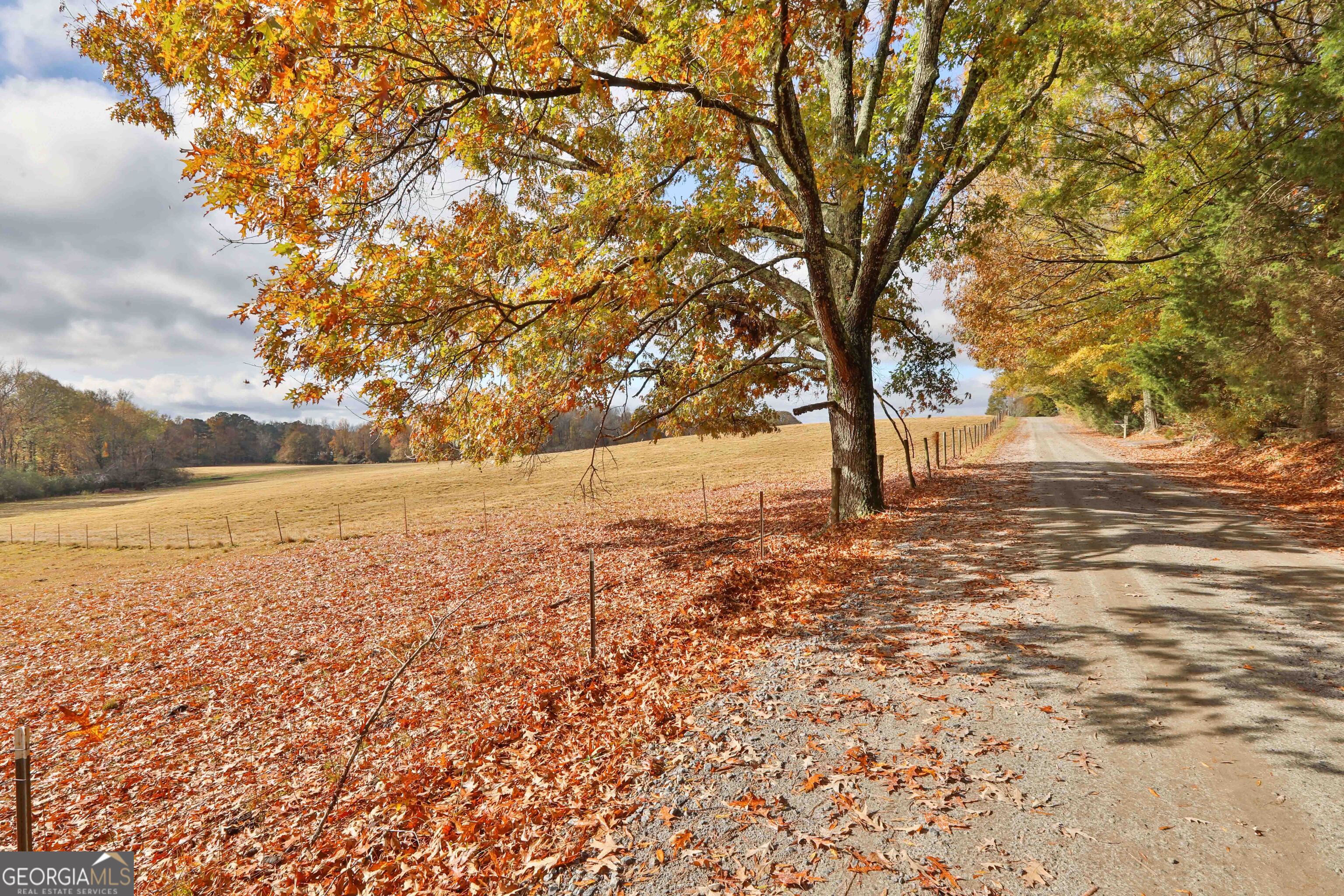 Lot 7 Mask Road - Hanner's Farm South Brooks GA 30205