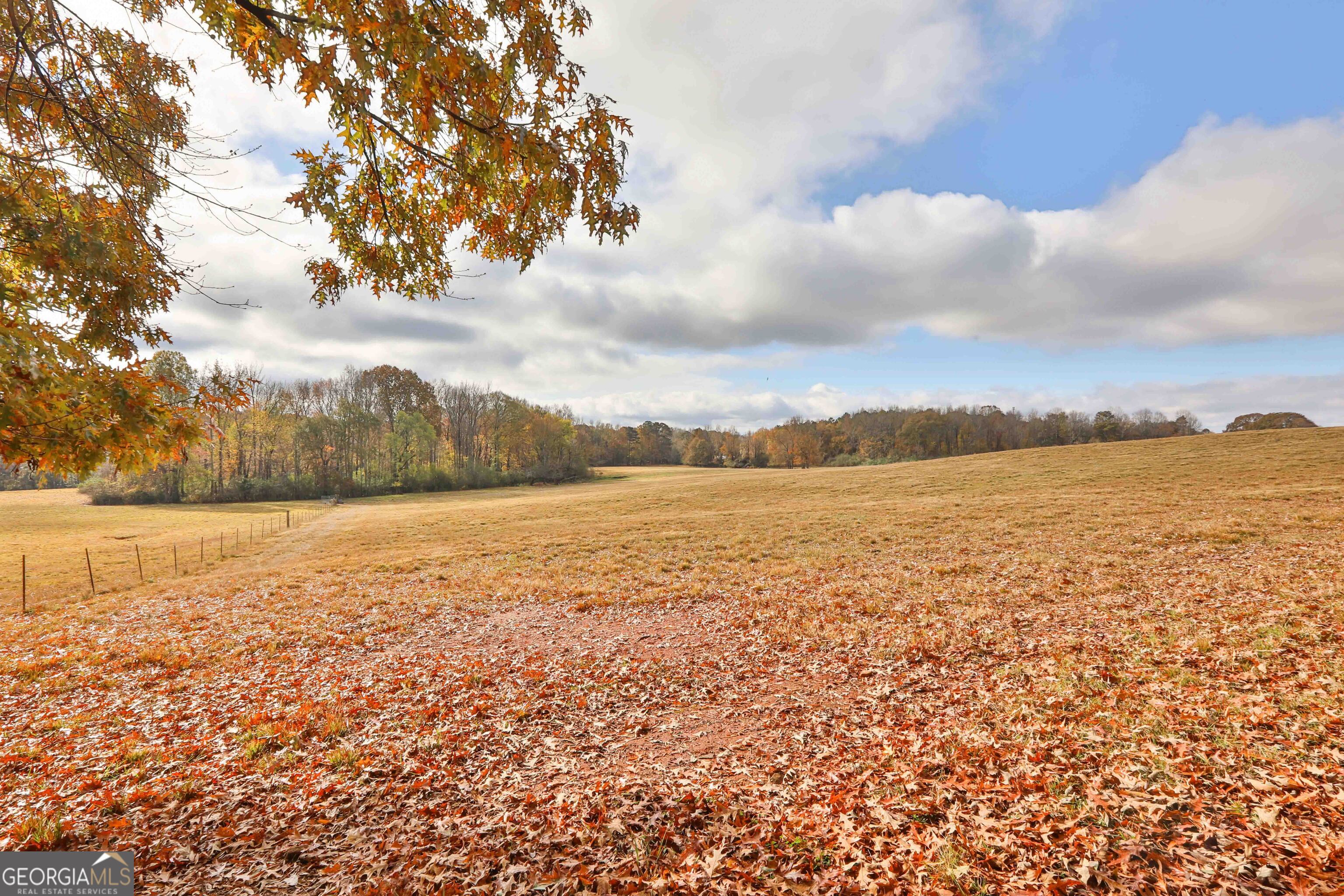 Lot 7 Mask Road - Hanner's Farm South Brooks GA 30205