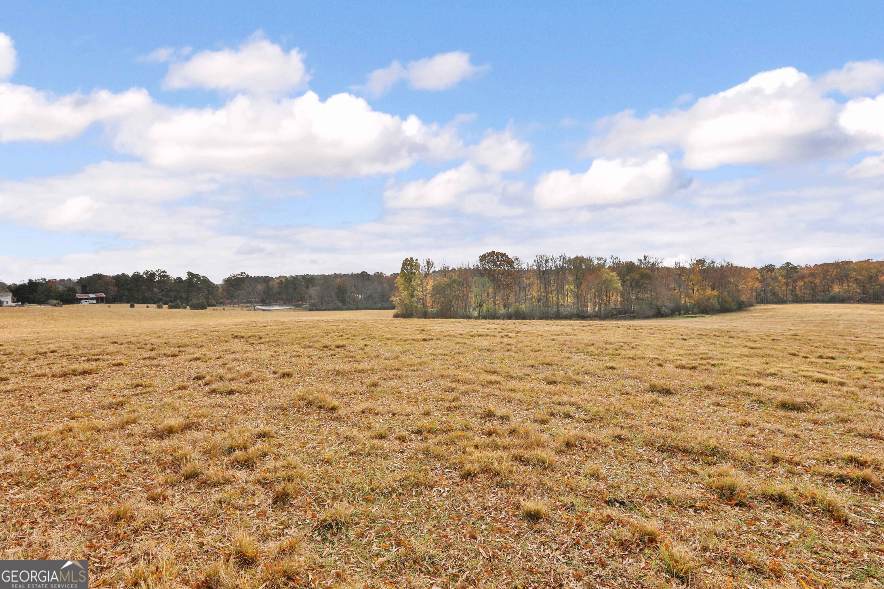Lot 7 Mask Road - Hanner's Farm South Brooks GA 30205