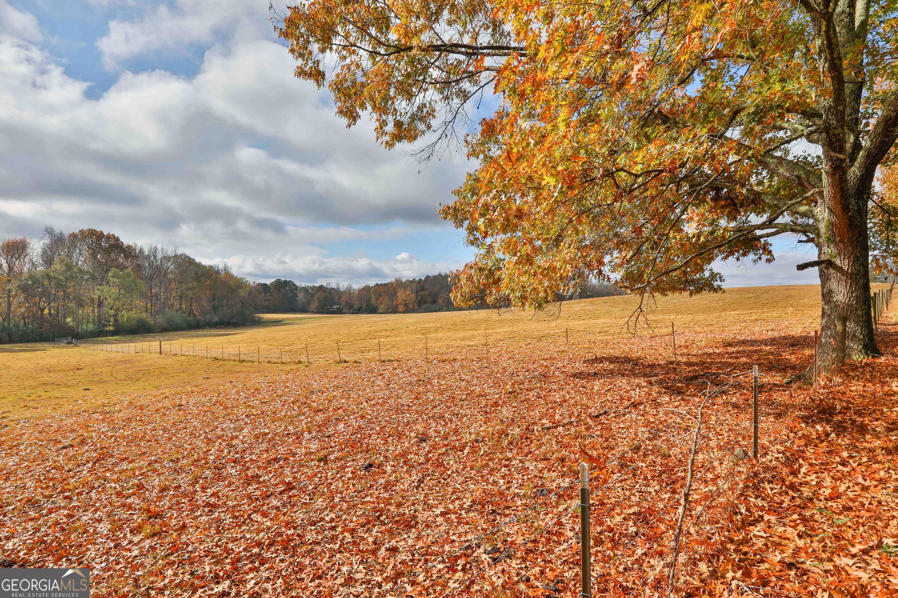 Lot 7 Mask Road - Hanner's Farm South Brooks GA 30205