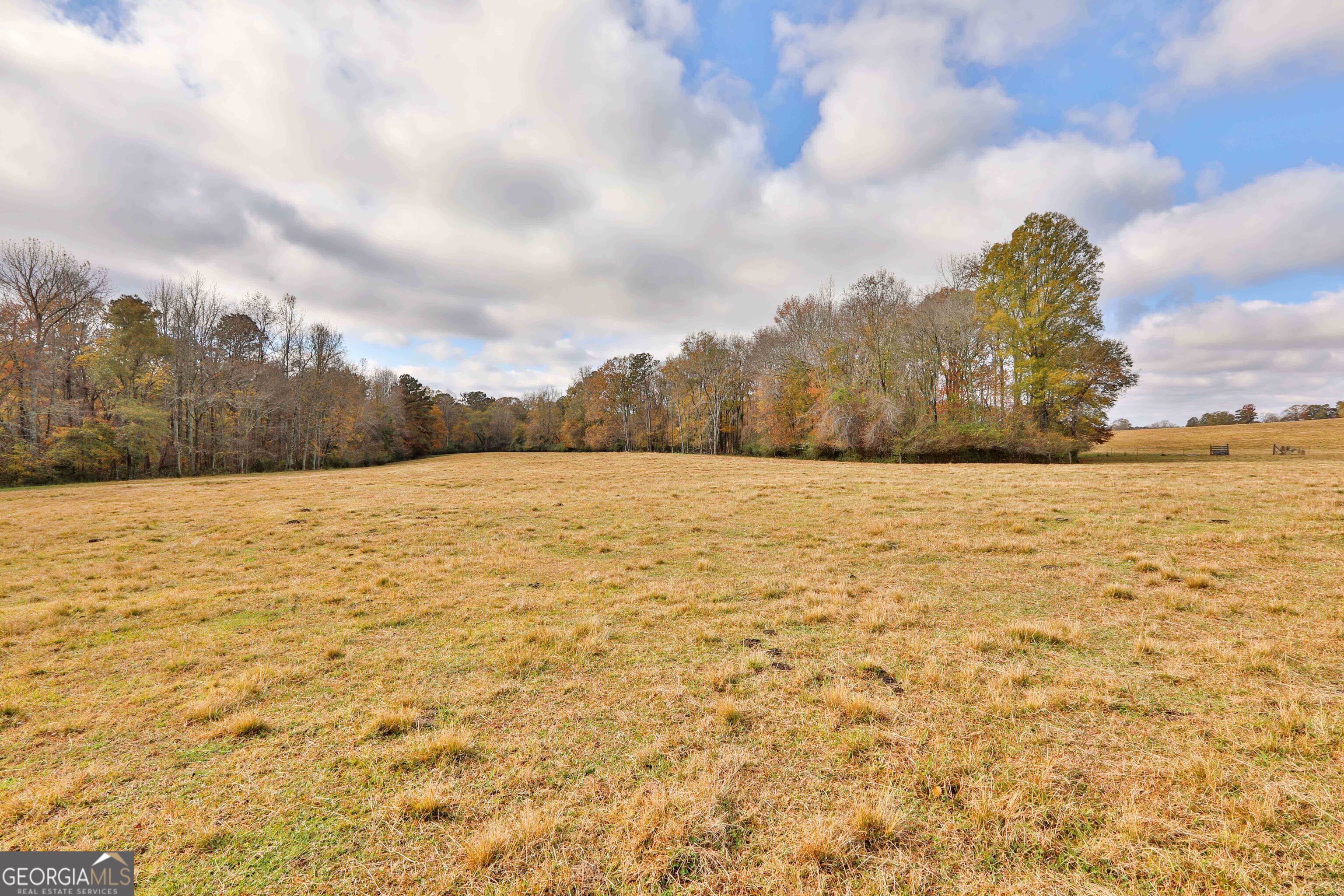Lot 7 Mask Road - Hanner's Farm South Brooks GA 30205