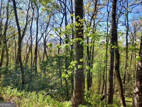 0 Lot 40 Pipetrack Gap Road Scaly Mountain NC 28775