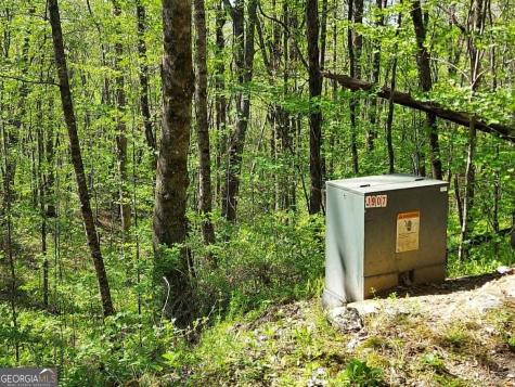 0 Lot 40 Pipetrack Gap Road Scaly Mountain NC 28775