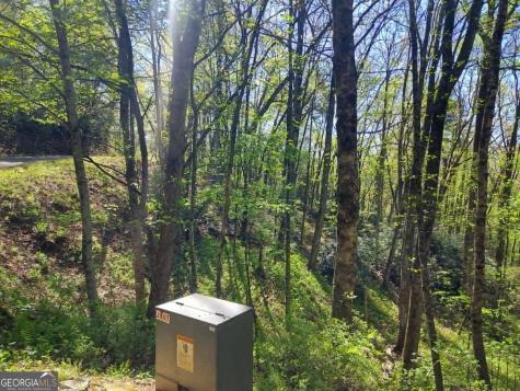 0 Lot 40 Pipetrack Gap Road Scaly Mountain NC 28775