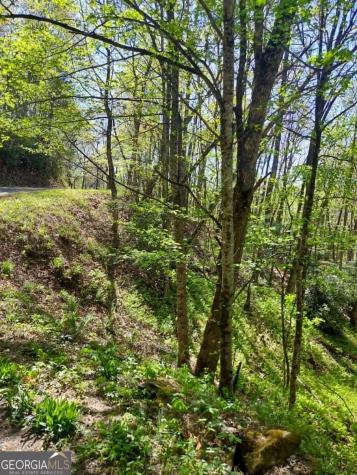 0 Lot 40 Pipetrack Gap Road Scaly Mountain NC 28775