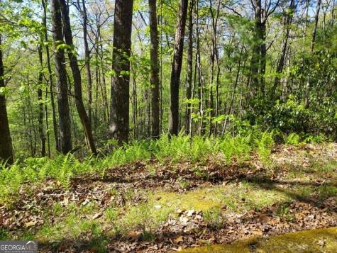 0 Lot 40 Pipetrack Gap Road Scaly Mountain NC 28775