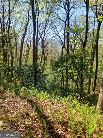 0 Lot 40 Pipetrack Gap Road Scaly Mountain NC 28775