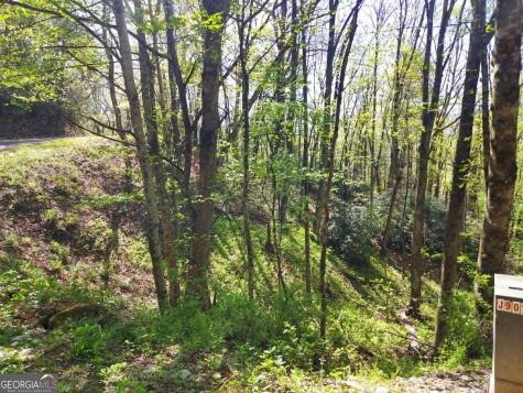 0 Lot 40 Pipetrack Gap Road Scaly Mountain NC 28775