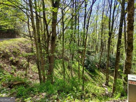 0 Lot 40 Pipetrack Gap Road Scaly Mountain NC 28775
