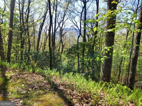 0 Lot 40 Pipetrack Gap Road Scaly Mountain NC 28775