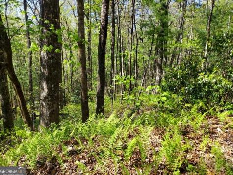 0 Lot 40 Pipetrack Gap Road Scaly Mountain NC 28775