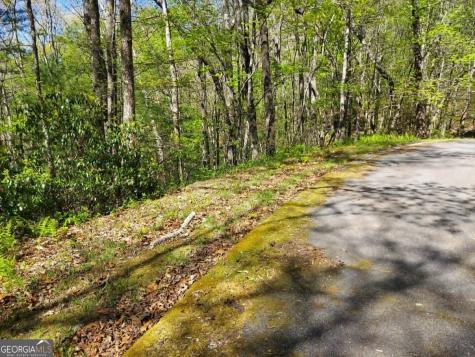 0 Lot 40 Pipetrack Gap Road Scaly Mountain NC 28775