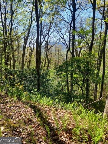 0 Lot 40 Pipetrack Gap Road Scaly Mountain NC 28775