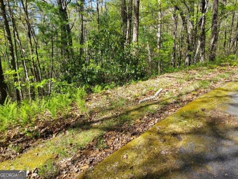 0 Lot 40 Pipetrack Gap Road Scaly Mountain NC 28775