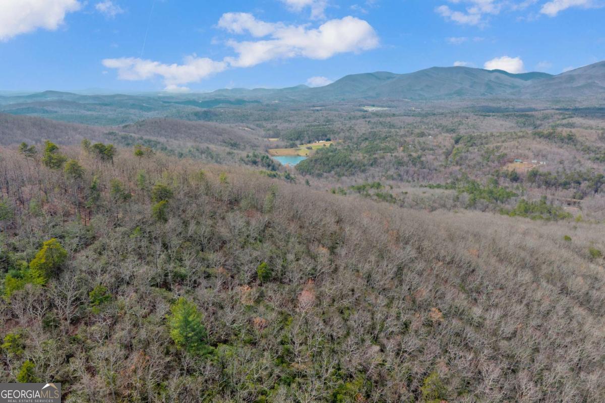225 Smallwood Road Ellijay GA 30536