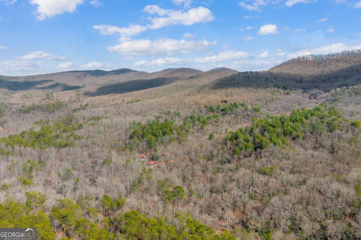 225 Smallwood Road Ellijay GA 30536