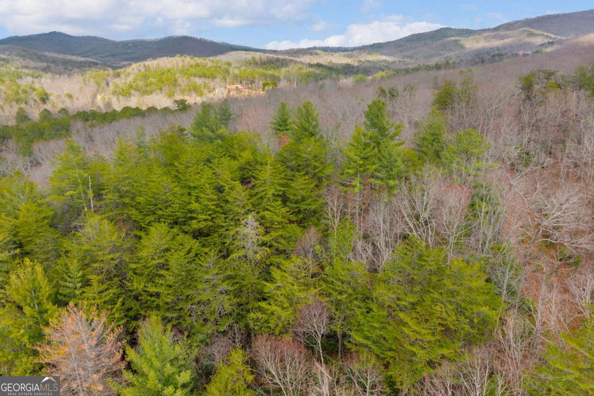 225 Smallwood Road Ellijay GA 30536