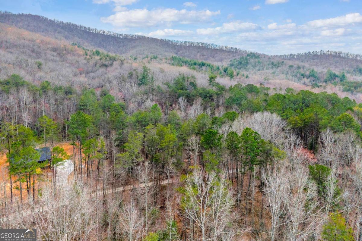 225 Smallwood Road Ellijay GA 30536