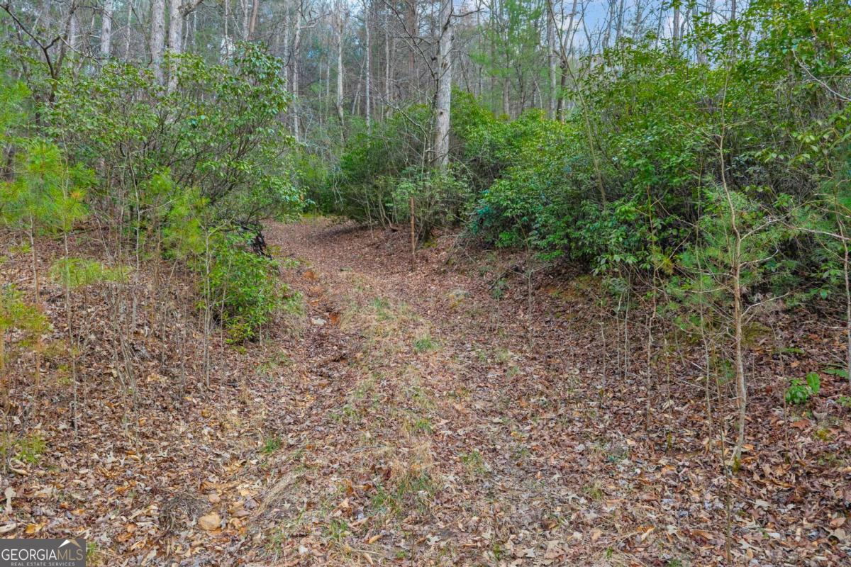 225 Smallwood Road Ellijay GA 30536