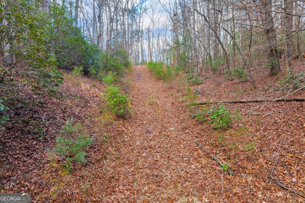 225 Smallwood Road Ellijay GA 30536