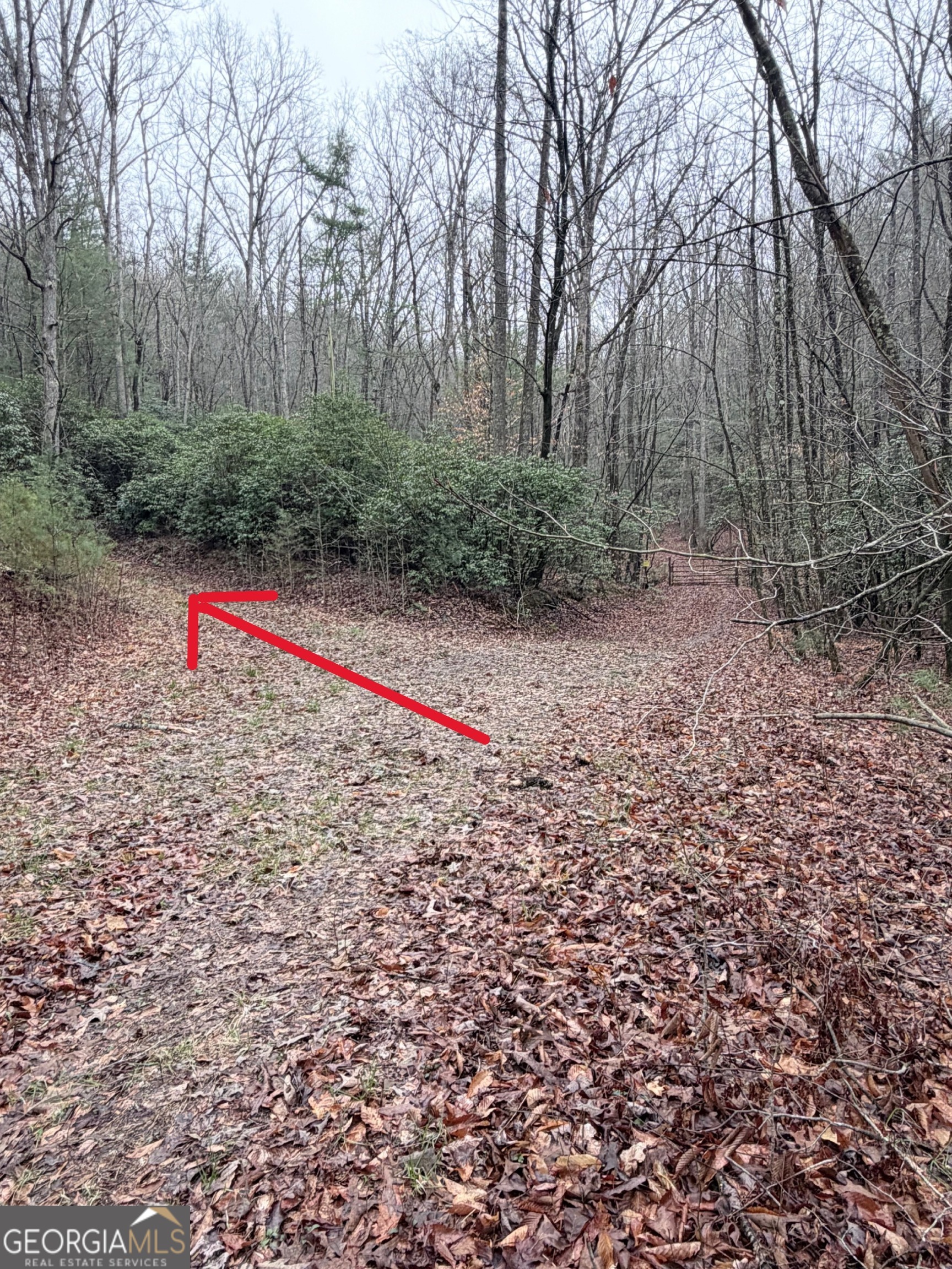 225 Smallwood Road Ellijay GA 30536
