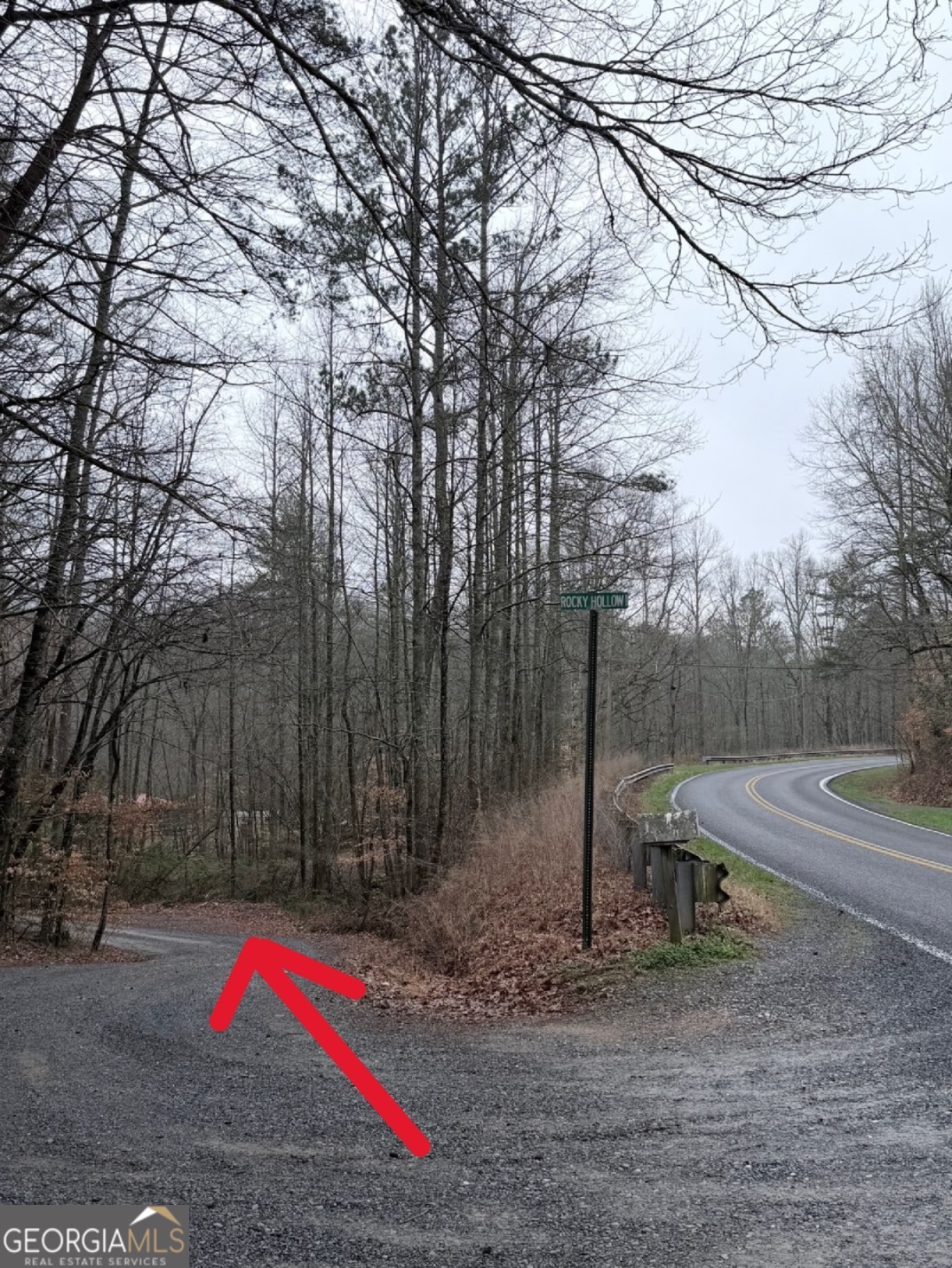 225 Smallwood Road Ellijay GA 30536