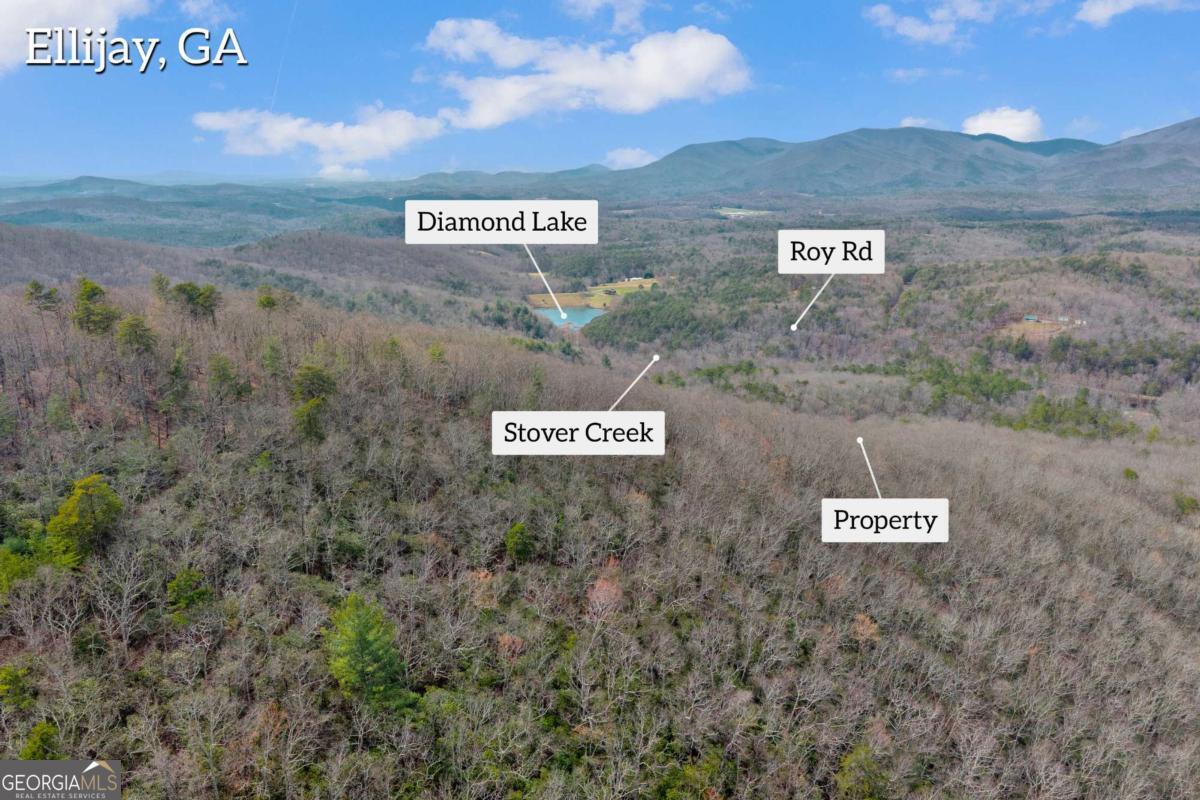 225 Smallwood Road Ellijay GA 30536