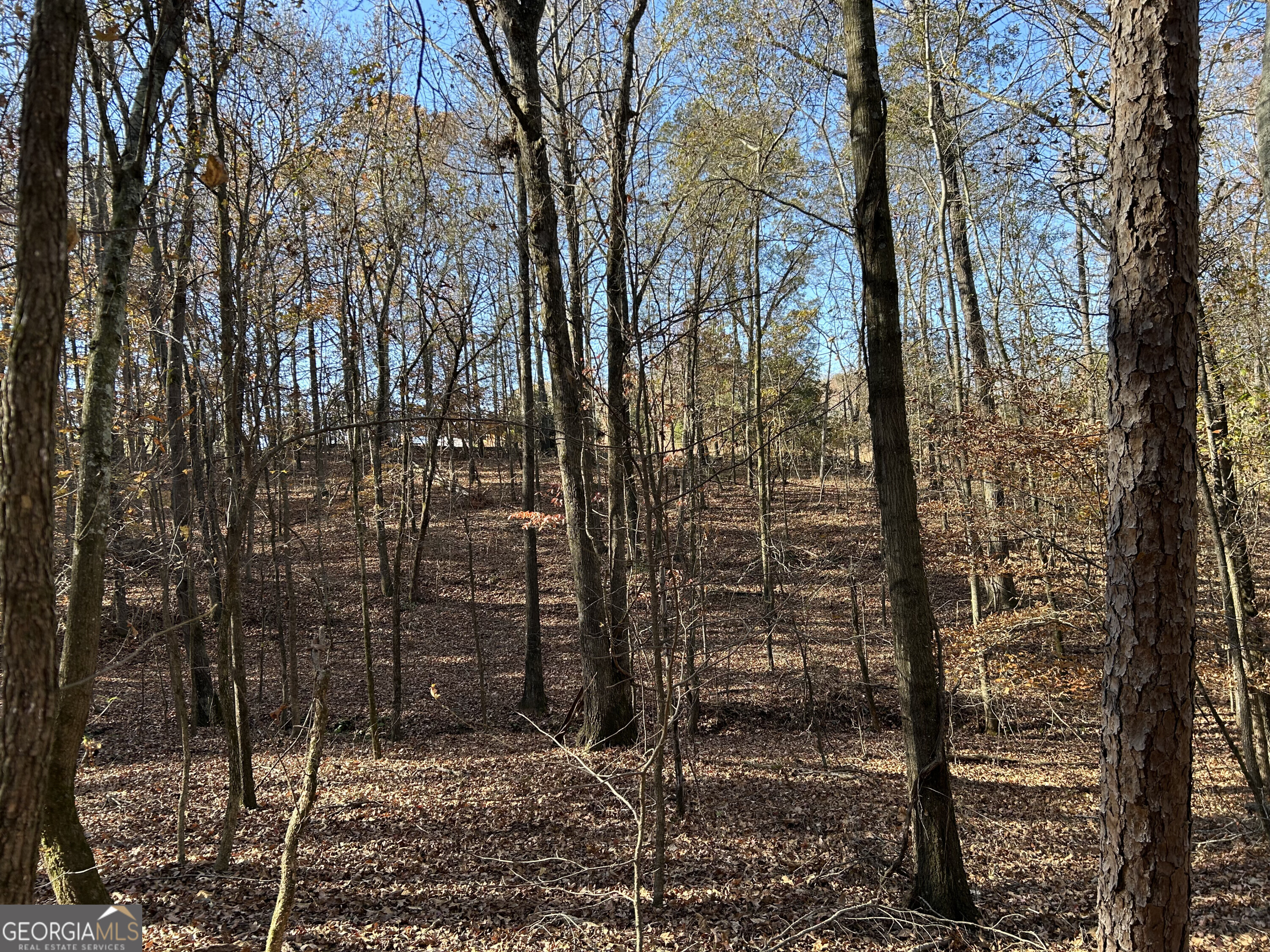0 Dove Hill Road Royston GA 30662