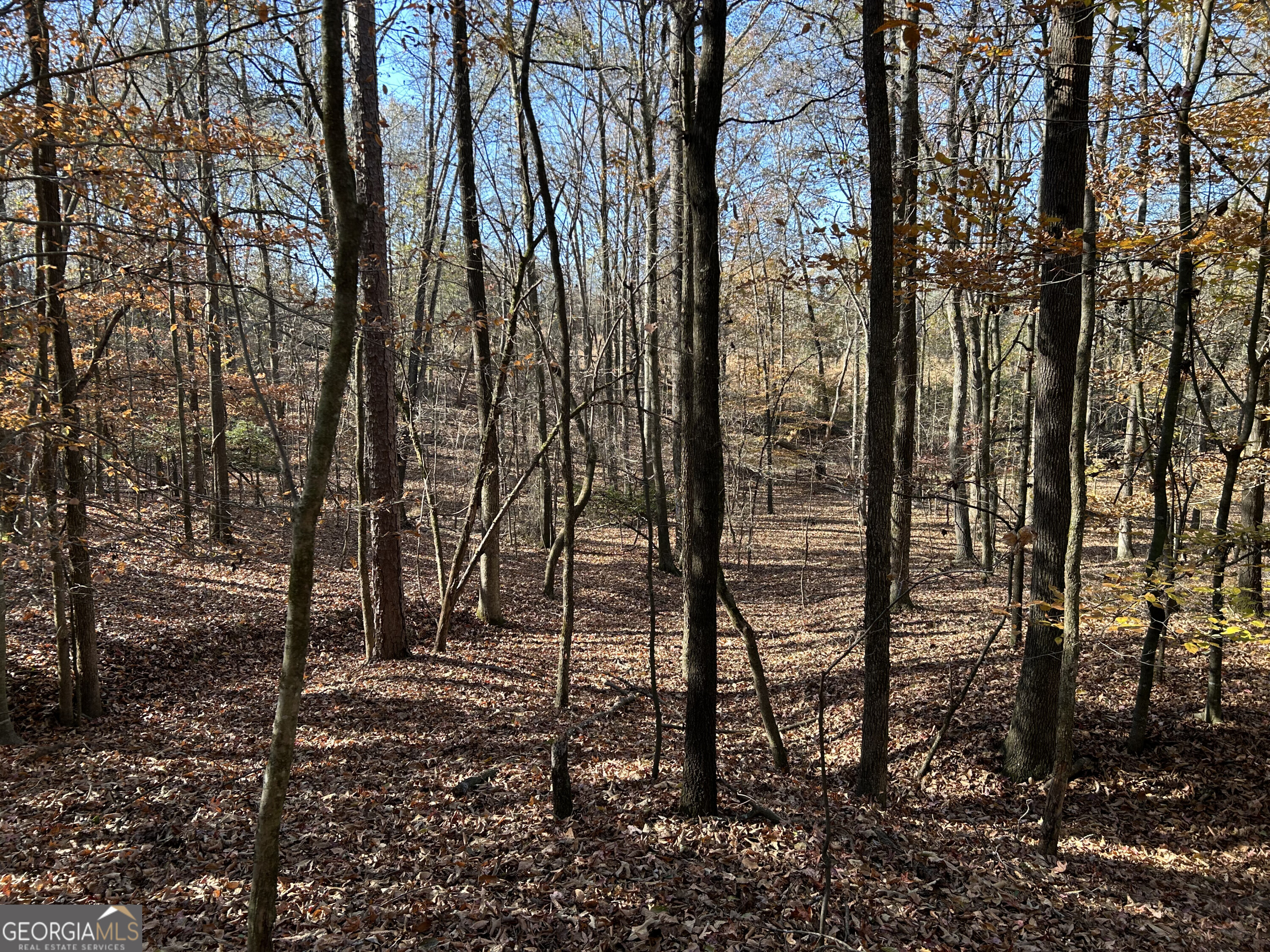 0 Dove Hill Road Royston GA 30662
