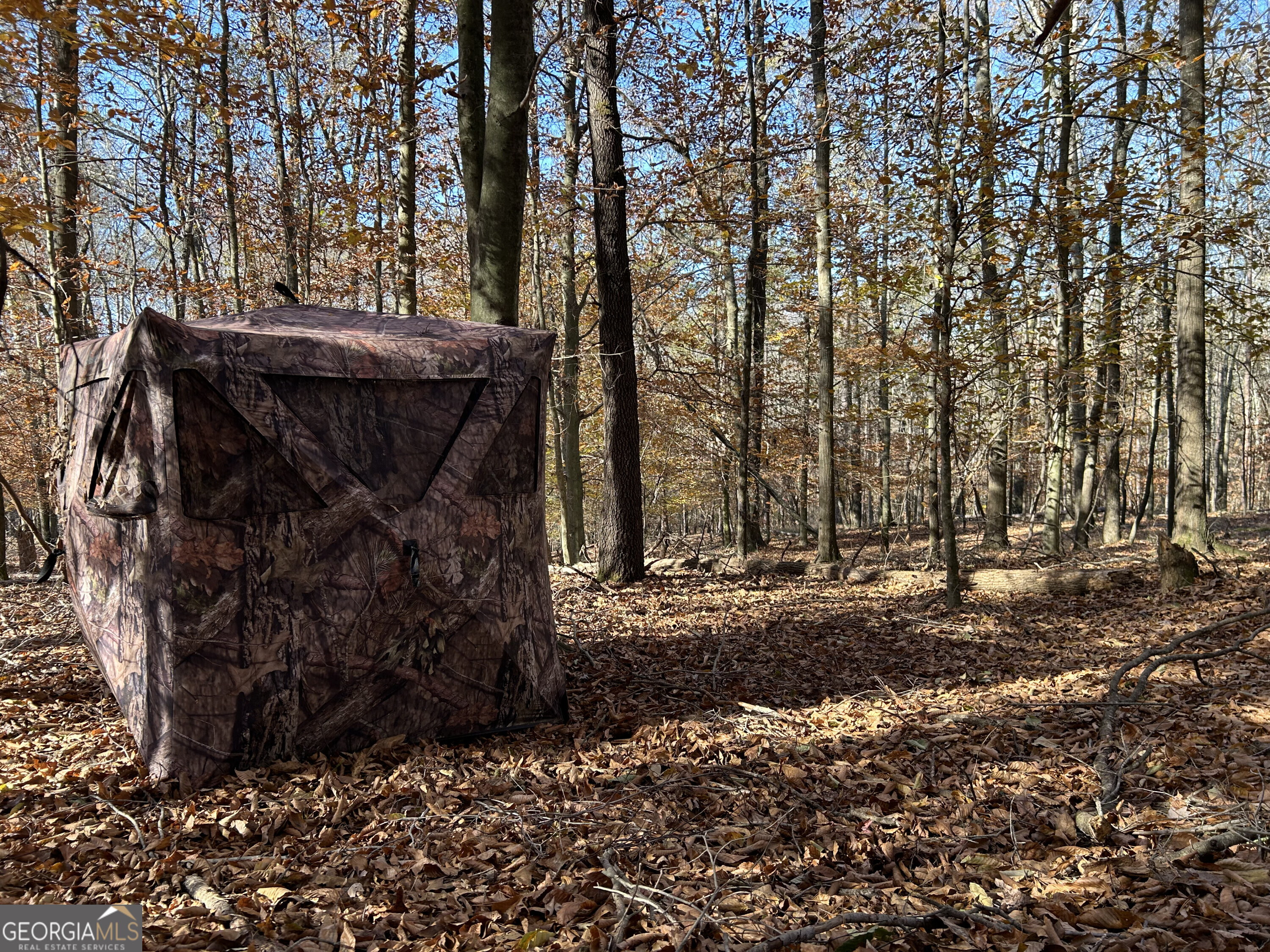 0 Dove Hill Road Royston GA 30662