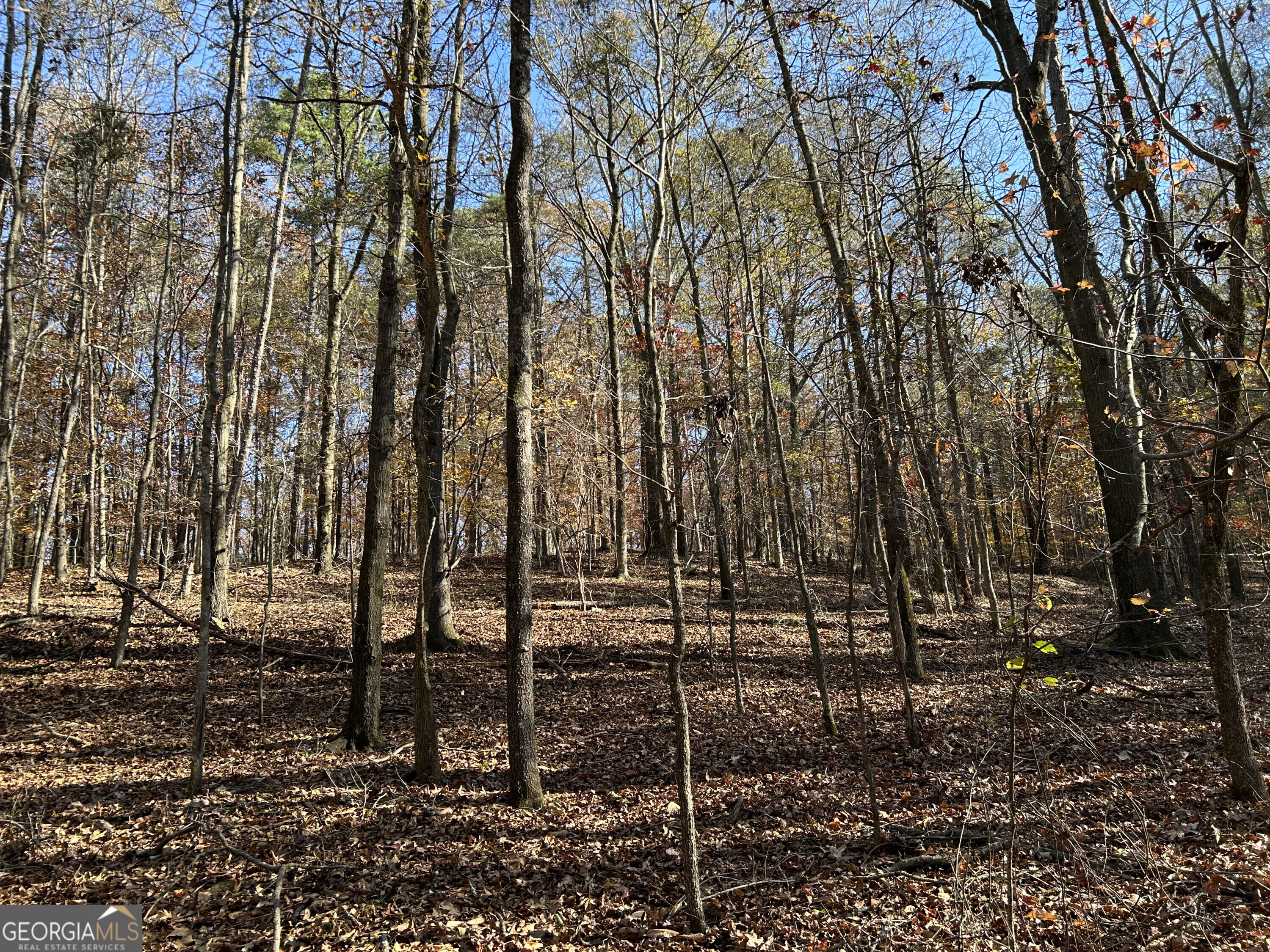 0 Dove Hill Road Royston GA 30662