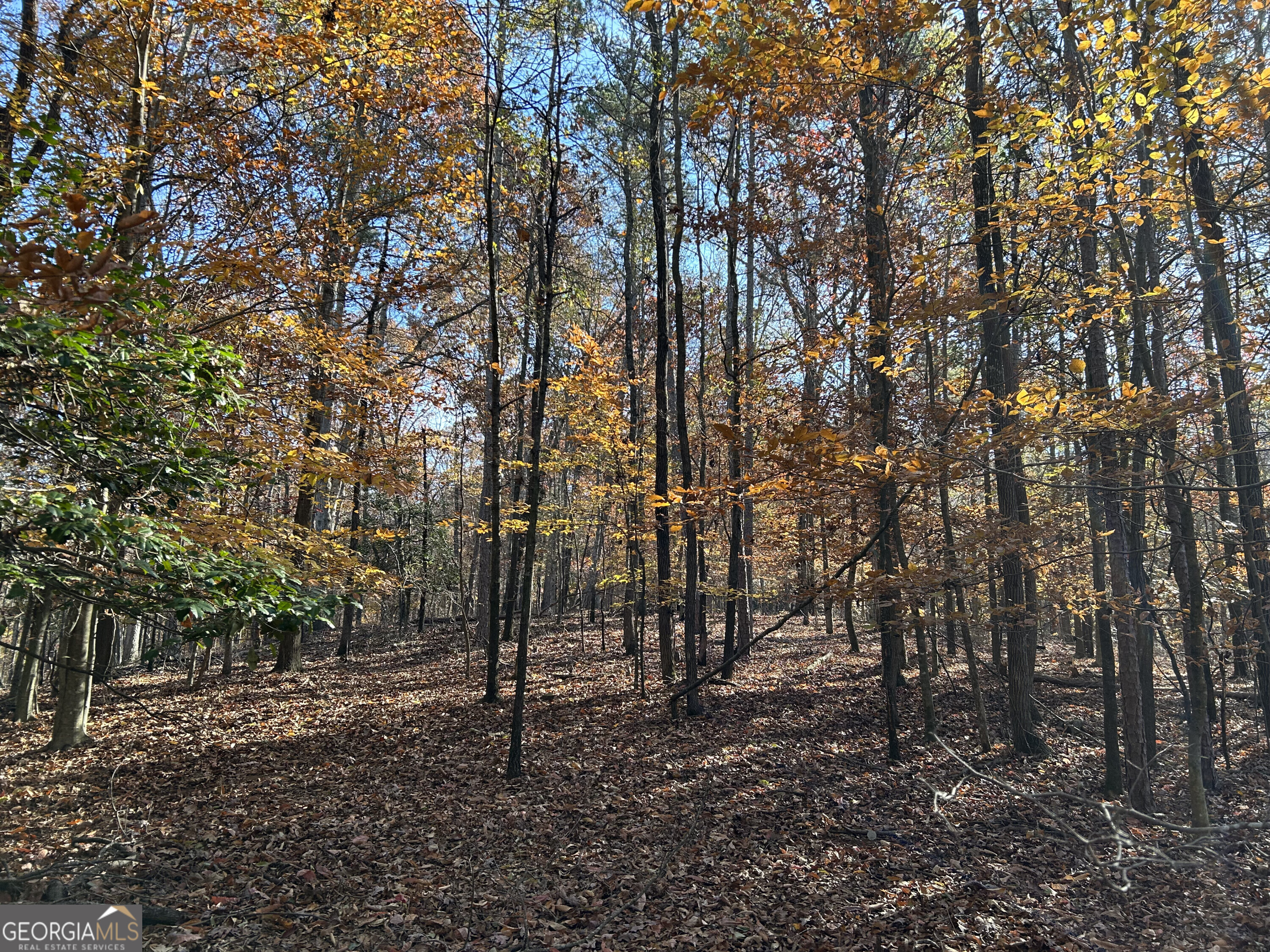 0 Dove Hill Road Royston GA 30662