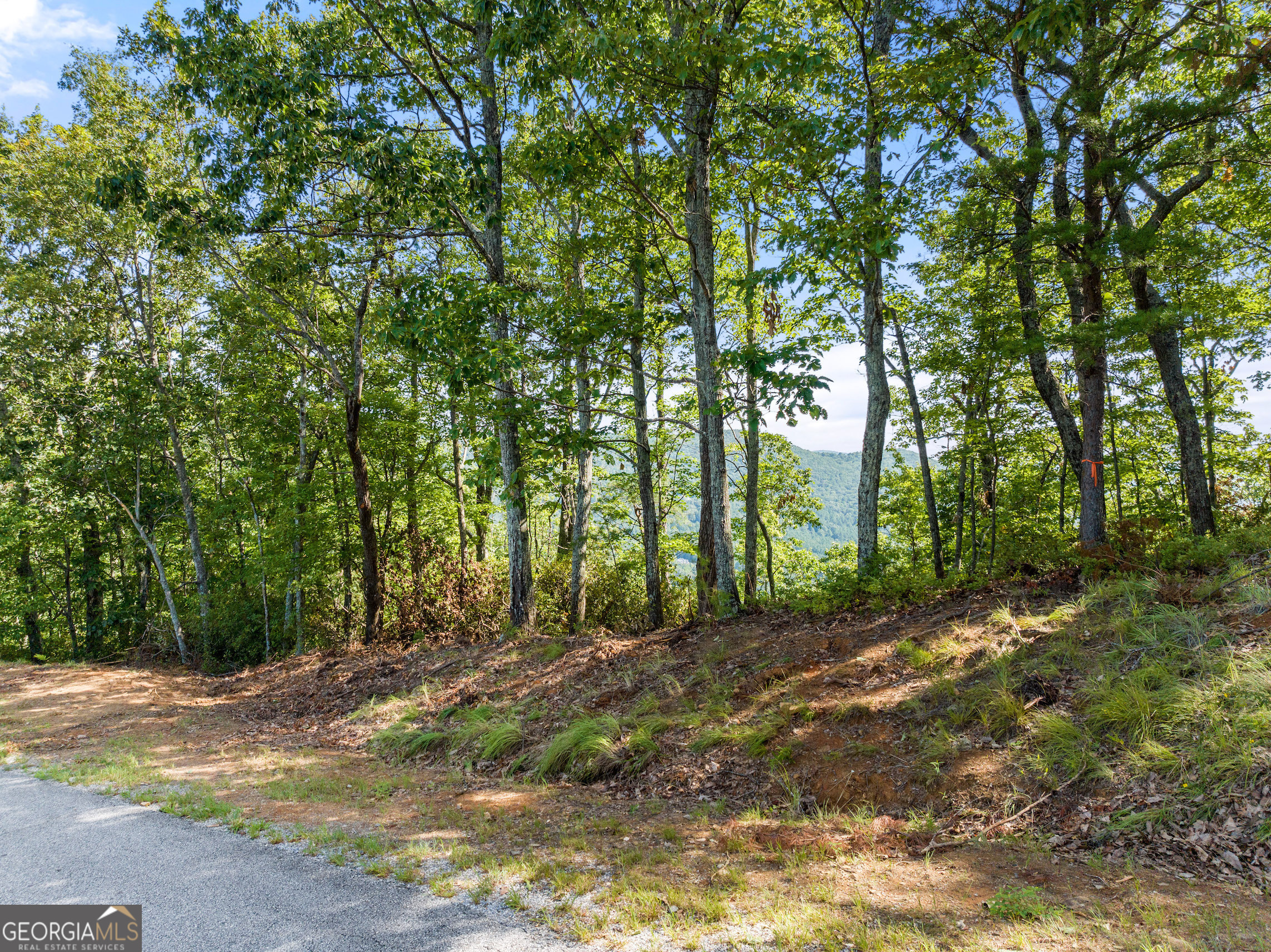 347 Highlands Drive Clarkesville GA 30523