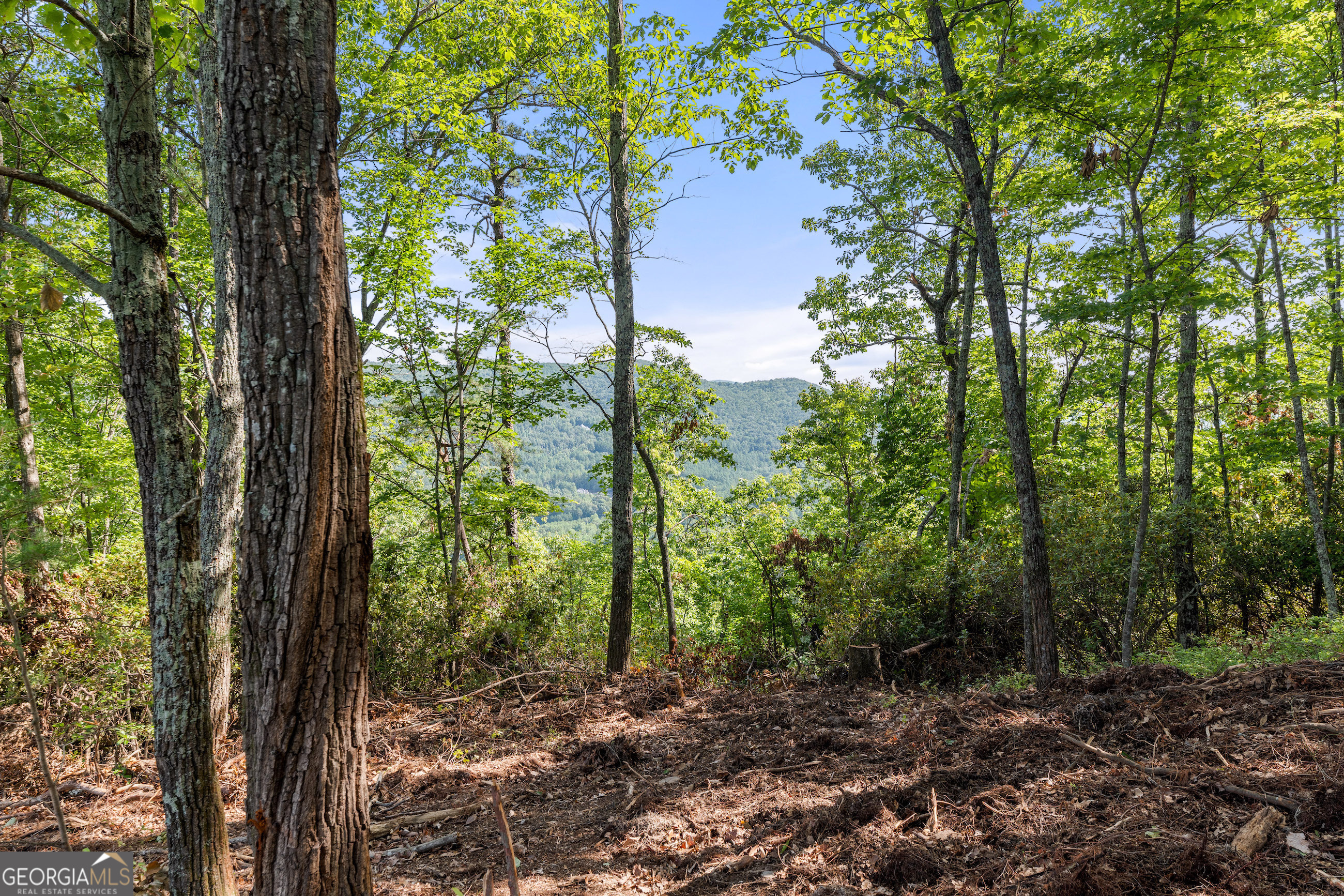 347 Highlands Drive Clarkesville GA 30523