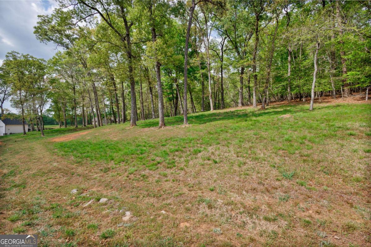 Lot 29 Open Water Lane Blairsville GA 30512