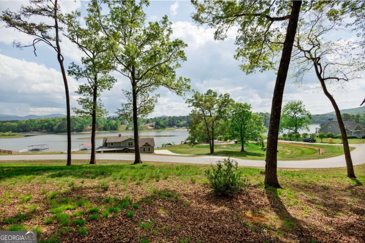 Lot 29 Open Water Lane Blairsville GA 30512