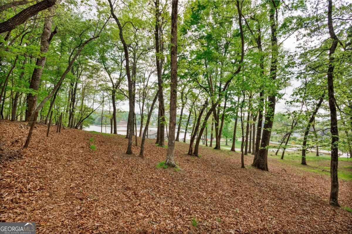 Lot 29 Open Water Lane Blairsville GA 30512