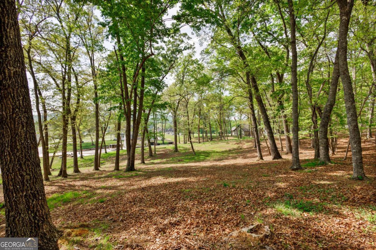 Lot 29 Open Water Lane Blairsville GA 30512