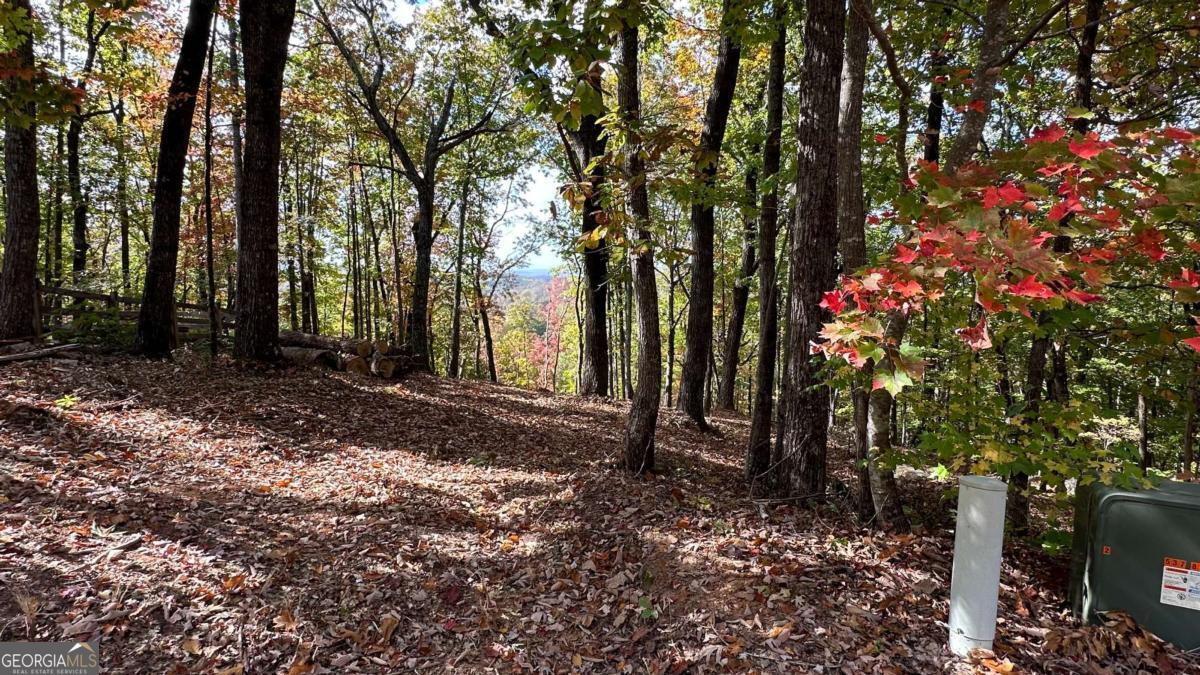 Lot 28 Long Mountain Road Cleveland GA 30528